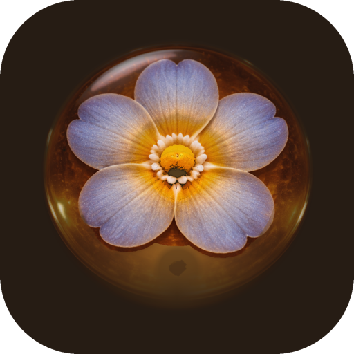 The Beheld app icon: a forget-me-not set in amber glass.